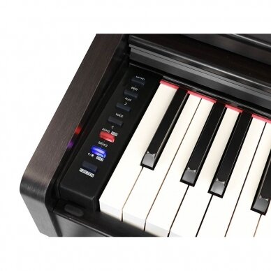 Stacionarus skaitmeninis pianinas Medeli DP-280K/RW Digital home piano 3
