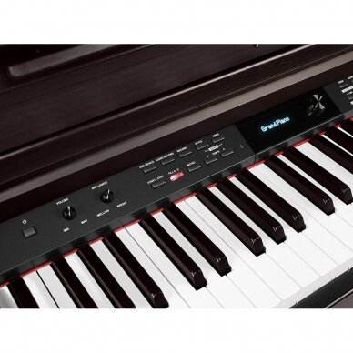 MEDELI DP-460K/RW DIGITAL HOME PIANO 3