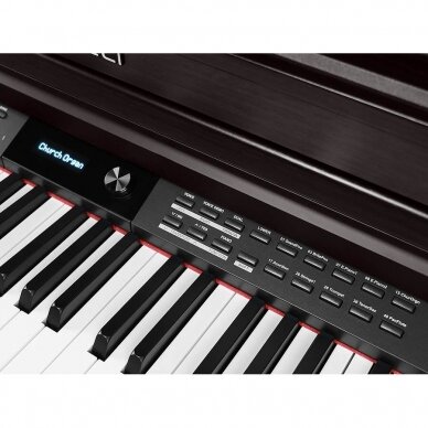 MEDELI DP-460K/RW DIGITAL HOME PIANO 4