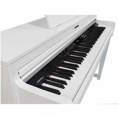 Stacionarus skaitmeninis pianinas Medeli DP-460K/WH 2