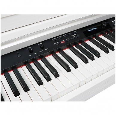 Medeli DP-460K/WH digital home piano 3