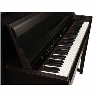 MEDELI DP-650K/RW digital home piano 2 MEDELI DP-650K/RW digital home piano 2