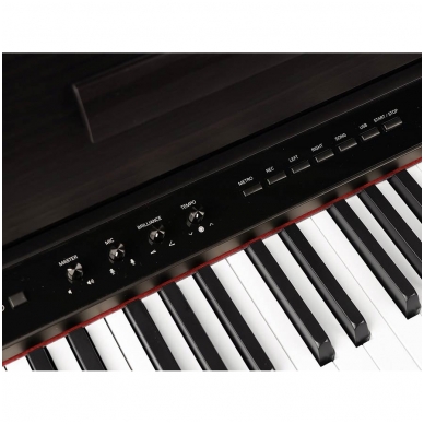 MEDELI DP-650K/RW digital home piano 3