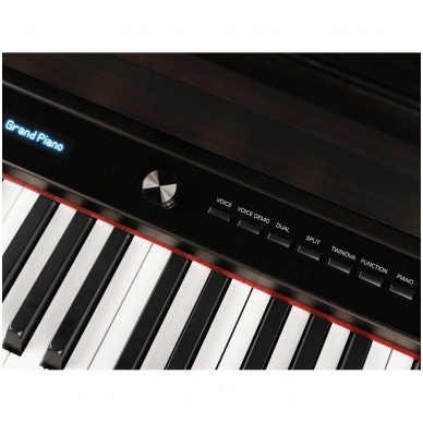 MEDELI DP-650K/RW digital home piano 4 MEDELI DP-650K/RW digital home piano 4