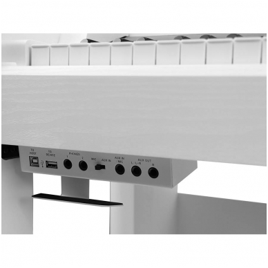 MEDELI DP-650K/WH digital home piano 5 MEDELI DP-650K/WH digital home piano 5