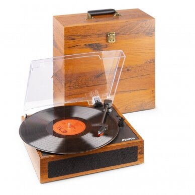 VINILINIŲ PLOKŠTELIŲ GROTUVAS SU KOLONĖLĖMIS IR PLOKŠTELIŲ DĖKLU FENTON RP-170L MEDŽIO APDAILA 102.165 1